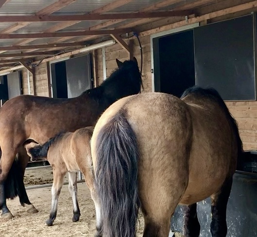 02DDDCF7 F2CA 4846 B1BB D39799442B38