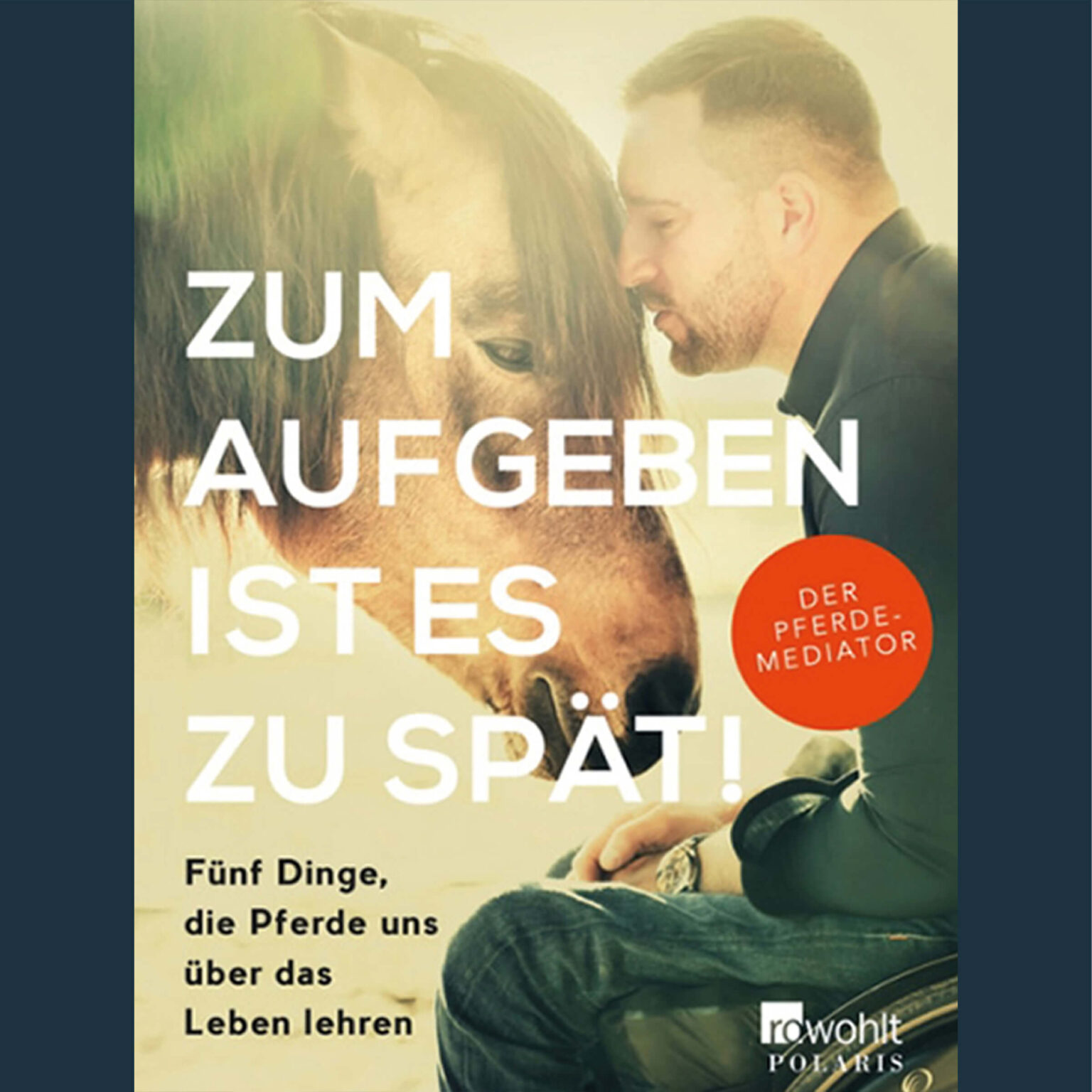 Timo Ameruoso Buch zum aufgeben ist es zu spät