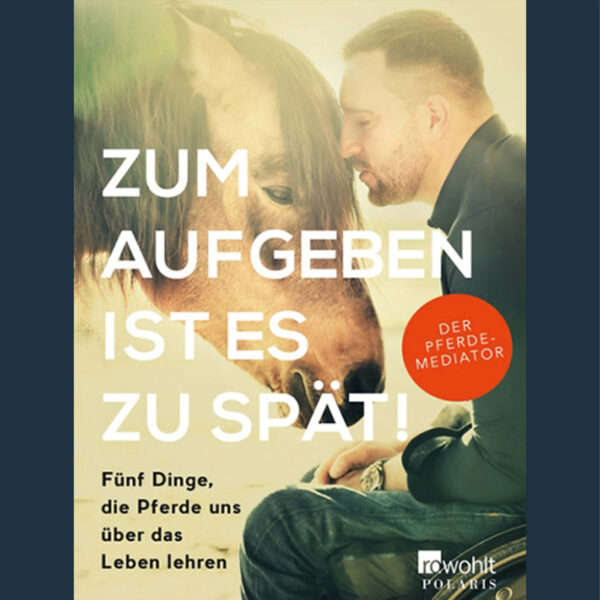 Timo Ameruoso Buch zum aufgeben ist es zu spät