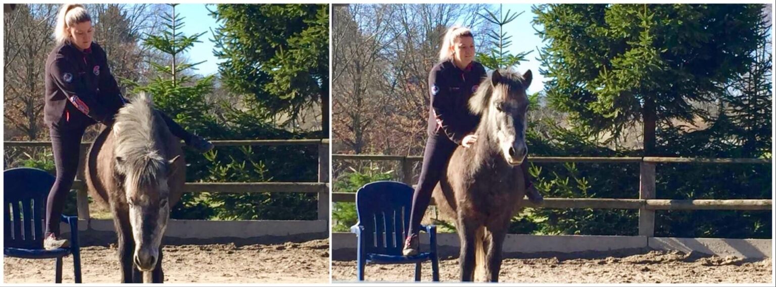 Timo Ameruoso Coaching Einzel Alex Isolfur Jungpferd