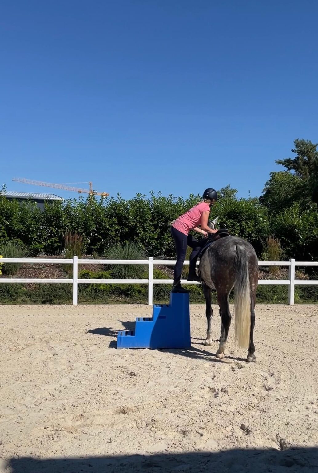 Timo Ameruoso Coaching Einzel Katharina und Karl