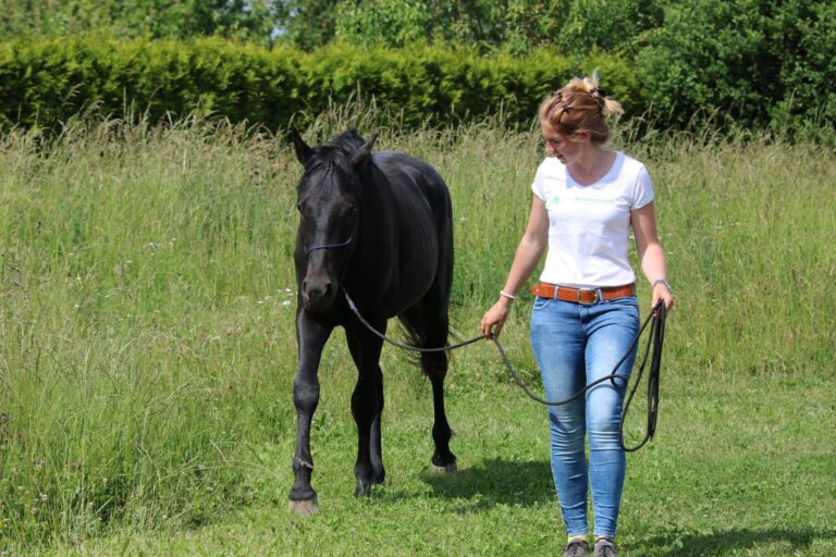 Timo Ameruoso Coaching Einzel Pferd dominiert