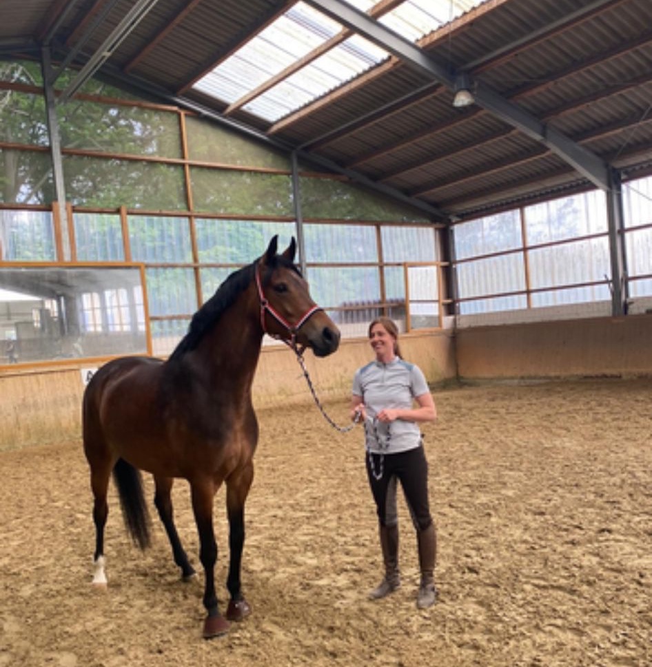 Timo Ameruoso Coaching Einzel Rueckmeldung