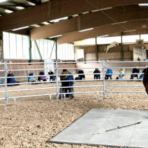 Timo Ameruoso Coaching Gruppe 12