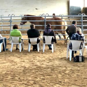 Timo Ameruoso Coaching Gruppe 9