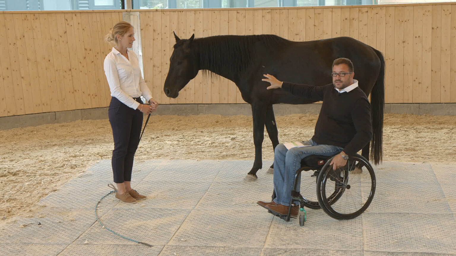 Timo Ameruoso Kurs1 Angewandte Pferdepsychologie