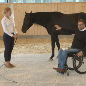 Timo Ameruoso Kurs1 Angewandte Pferdepsychologie