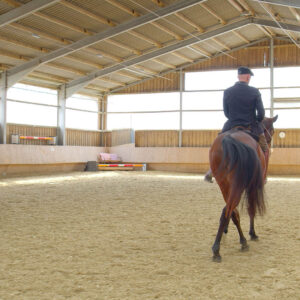 Timo Ameruoso Kurs4 Reiten auf hohem Niveau