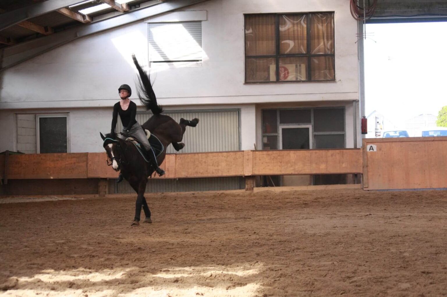 Timo Ameruoso Pferd Juliane Astor