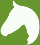 Timo Ameruoso Pferdemediator Logo Pferdekopf