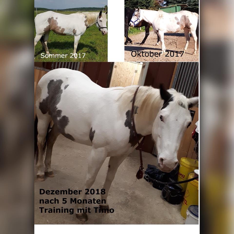 Timo Ameruoso Rueckmeldung Luise