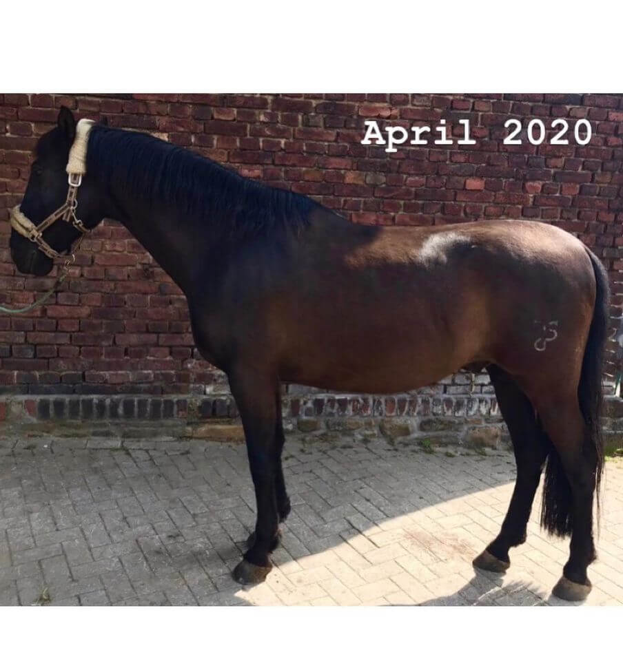 Timo Ameruoso Rueckmeldung Marion Buschkamp