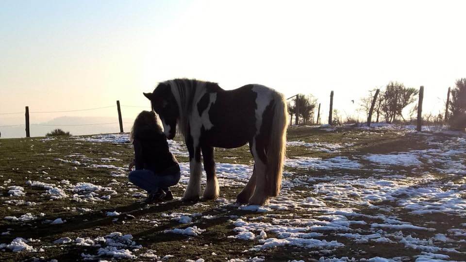 Timo Ameruoso Rueckmeldung Merle