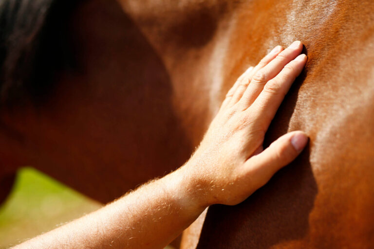 Timo Ameruoso Titelbild Hand