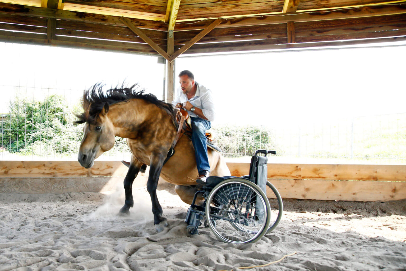 Timo Ameruoso Titelbild Reiten Aufsteigen