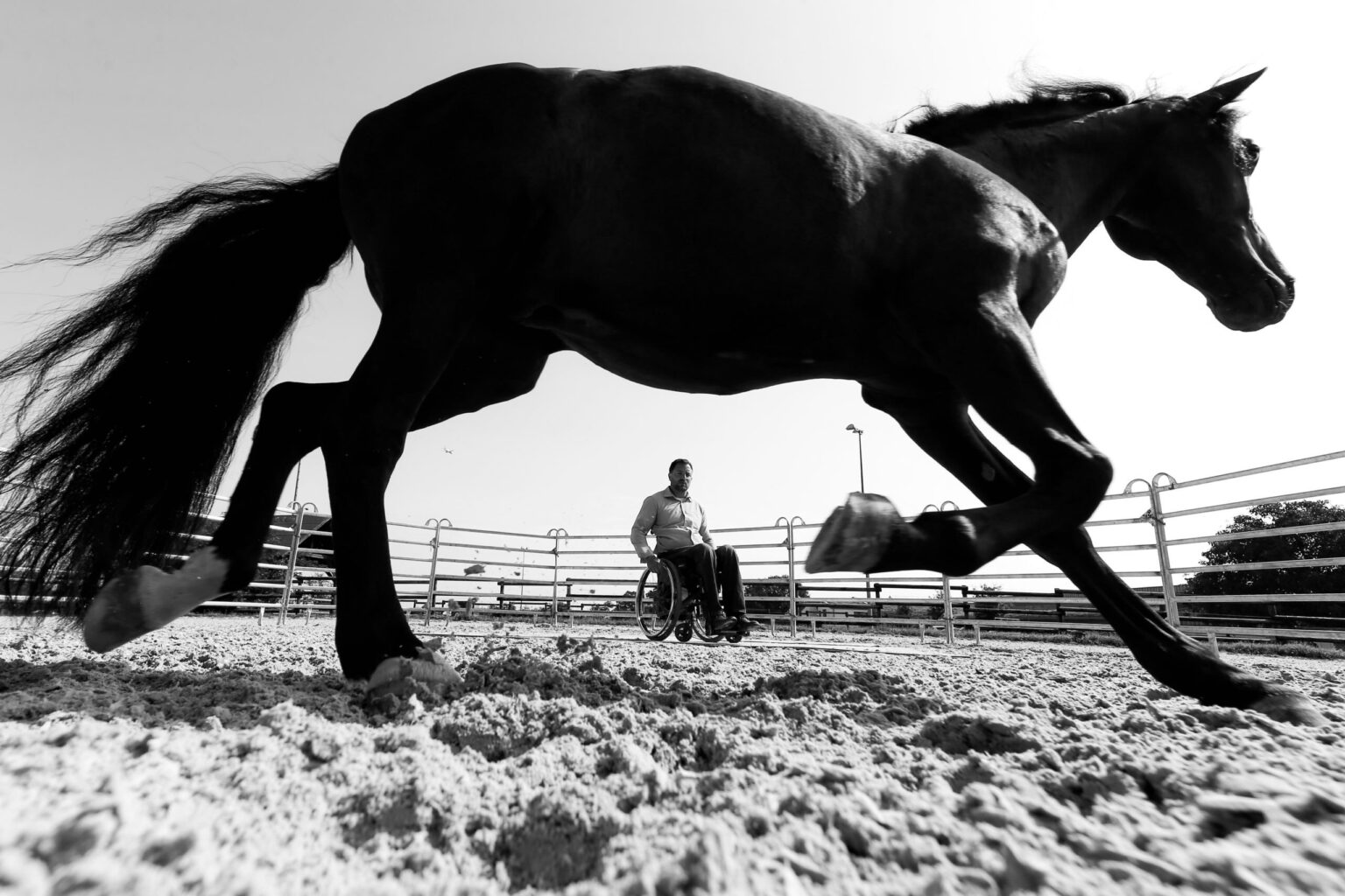 Timo Ameruoso Titelbild Trab