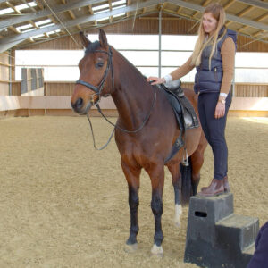 Timo Ameruoso Trainerausbildung Kurs IV Reiten Lektion 29