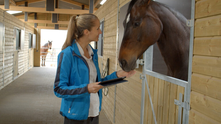 Timo Ameruoso Trainerausbildung Trailer 2020 Standbild