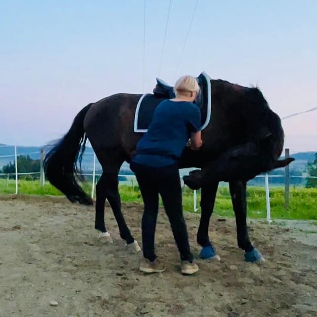 Timo Ameruoso Training Perd Sattel